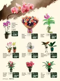 Encarte Festval Página 2