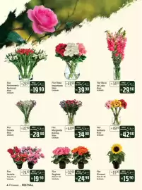 Encarte Festval Página 4