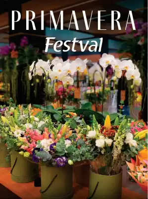 Encarte Festval (válido até 5-10)