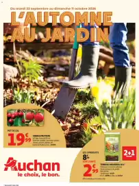Auchan folder Pagina 1