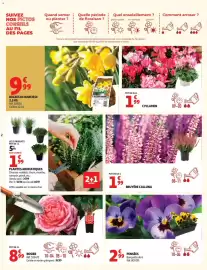 Auchan folder Pagina 2