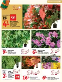 Auchan folder Pagina 3