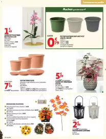 Auchan folder Pagina 5