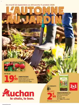 Auchan folder (geldig t/m 11-10)
