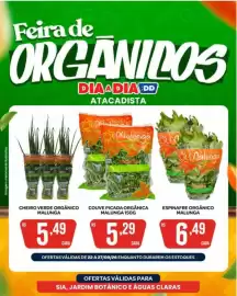 Tabloide Atacadão Dia a Dia semana 39 Página 2