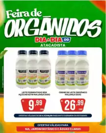 Tabloide Atacadão Dia a Dia semana 39 Página 5