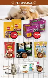 Spudshed catalogue week 39 Page 14: Pedigree Dentastix Daily Oral Care €5,49, Dine Creamy Treats Varieties €2,99