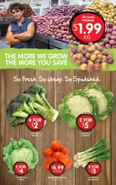 Spudshed catalogue week 39 Page 4: Lettuce €4,00, Tomatoes Prepacked €4,99