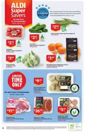 ALDI catalogue Page 22