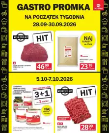 Selgros gazetka Strona 19