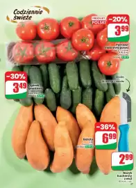 Dino gazetka tydzień 39 Strona 37: Pomidor malinowy polski €3,99, Ogórek gruntowy €3,49