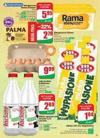 Dino gazetka tydzień 39 Strona 45