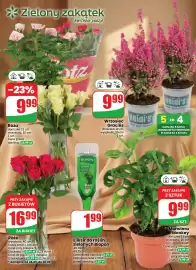 Dino gazetka tydzień 39 Strona 59