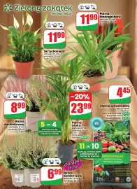 Dino gazetka tydzień 39 Strona 60