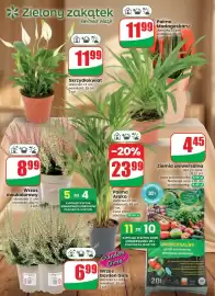 Dino gazetka tydzień 39 Strona 60