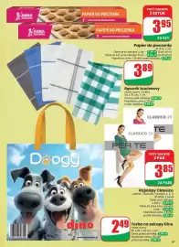 Dino gazetka tydzień 39 Strona 67: Ręcznik kuchenny CLASSICO 20 €3,89, Rajstopy Classico €3,85
