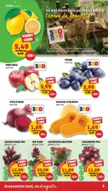 Catalog Penny săptămâna 39 Pagină 6: 3ro sfeclă roșie €1,89, Prune €3,99