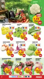 Catalog Penny săptămâna 39 Pagină 7: Gogonele €3,49, Castraveți cornișon €3,69
