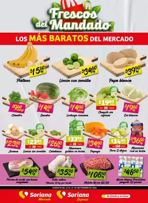 Soriana Mercado (válido hasta 24-09)