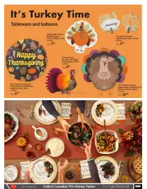 Party City flyer Page 5