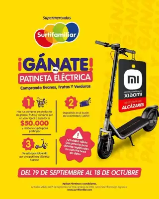 Catálogo Surtifamiliar (válido hasta 18-10)