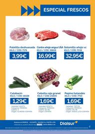 Folleto Dialsur Cash & Carry semana 39 Página 2: Paletilla deshuesada €3,99, Solomillo añojo €32,95