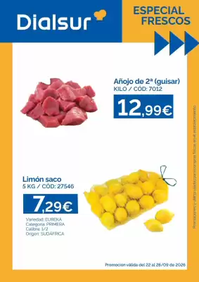 Dialsur Cash & Carry (válido hasta el 28-09)