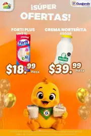 Folleto Guajardo Página 12