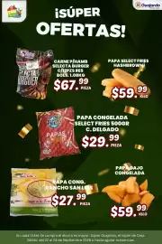 Folleto Guajardo Página 13