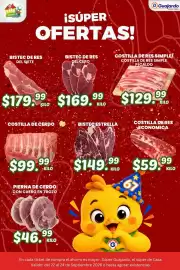 Folleto Guajardo Página 16