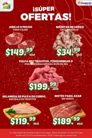 Folleto Guajardo Página 17