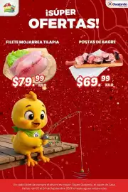 Folleto Guajardo Página 19