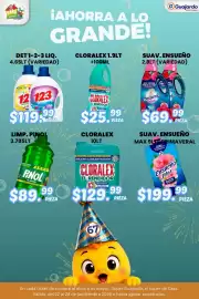 Folleto Guajardo Página 8