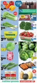 Metro flyer week 39 Page 7: Gros poivrons verts €1,99, Celeri €2,99