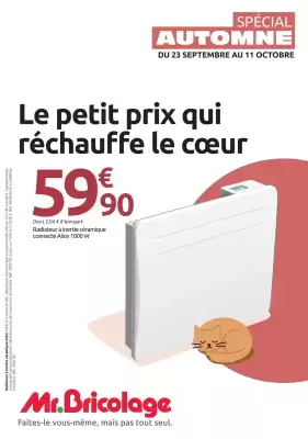 Mr Bricolage (valable jusqu'au 11-10)