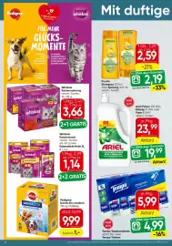 Spar Flugblatt Seite 18: Tempo Taschentücher €4,99, Garnier Fructis Shampoo oder Spülung €2,59