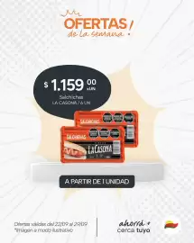 Catálogo El Milagro Mayorista semana 39 Página 15