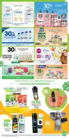 Catálogo Jumbo Página 19: Pantene nutrición profunda de raíz a puntas, Naturvital mascarilla negros