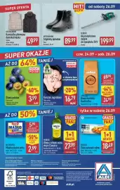 ALDI gazetka Strona 12: Kurczak zagrodowy €16,79, Śliwki polskie €3,99
