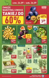 ALDI gazetka Strona 9: Sałata cięta z sałatą lodową Daylicious €2,99, Eukaliptus Gardenline €29,99