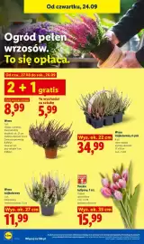 Lidl gazetka Strona 100