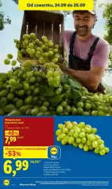 Lidl gazetka Strona 28