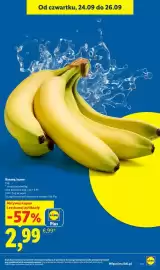 Lidl gazetka Strona 29