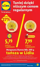 Lidl gazetka Strona 3
