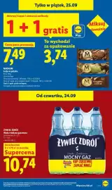 Lidl gazetka Strona 31