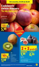 Lidl gazetka Strona 47