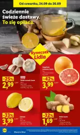 Lidl gazetka Strona 48