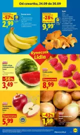 Lidl gazetka Strona 49
