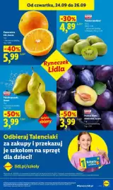 Lidl gazetka Strona 51