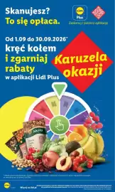 Lidl gazetka Strona 52